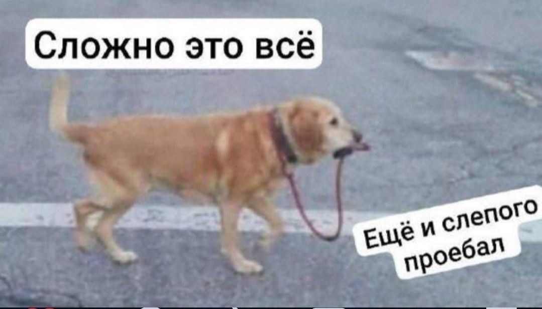 Сложно это всё Ещё и слепого проебал
