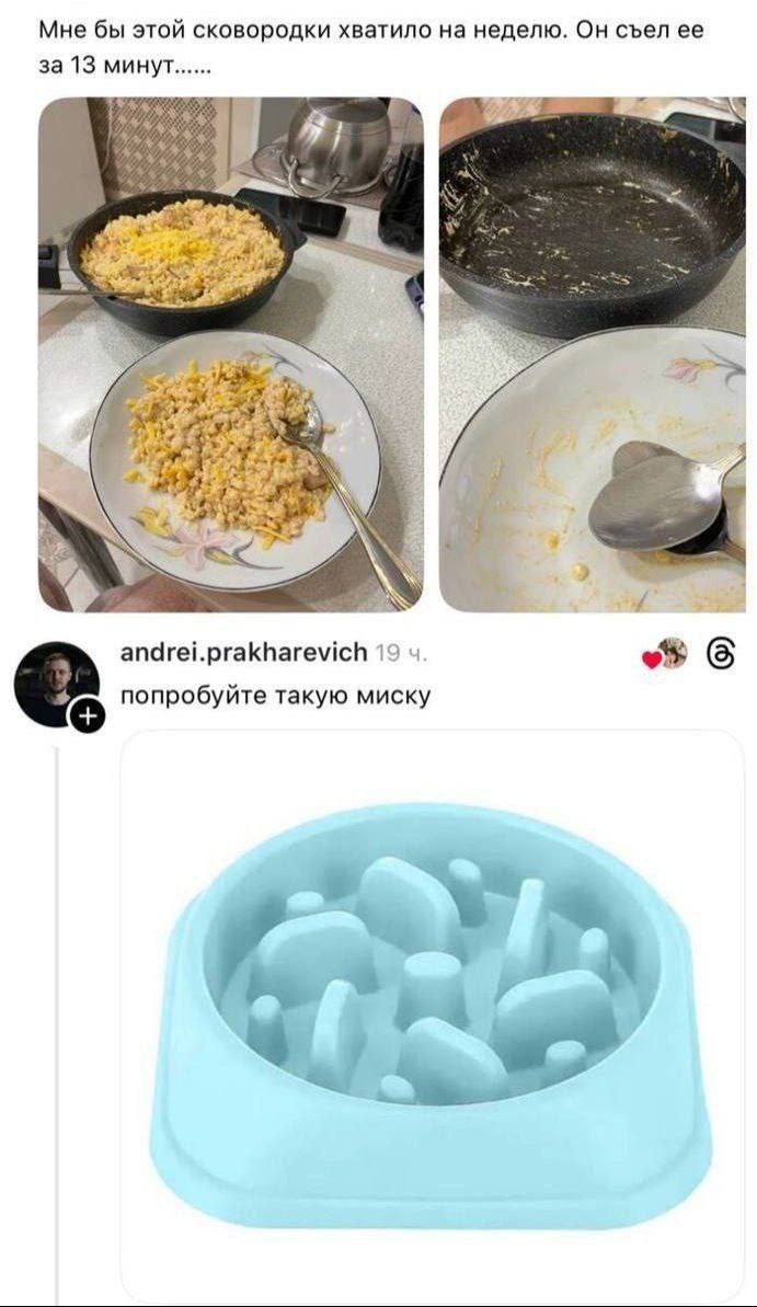 Мне бы этой сковородки хватило на неделю. Он съел её за 13 минут...... попробуйте такую миску