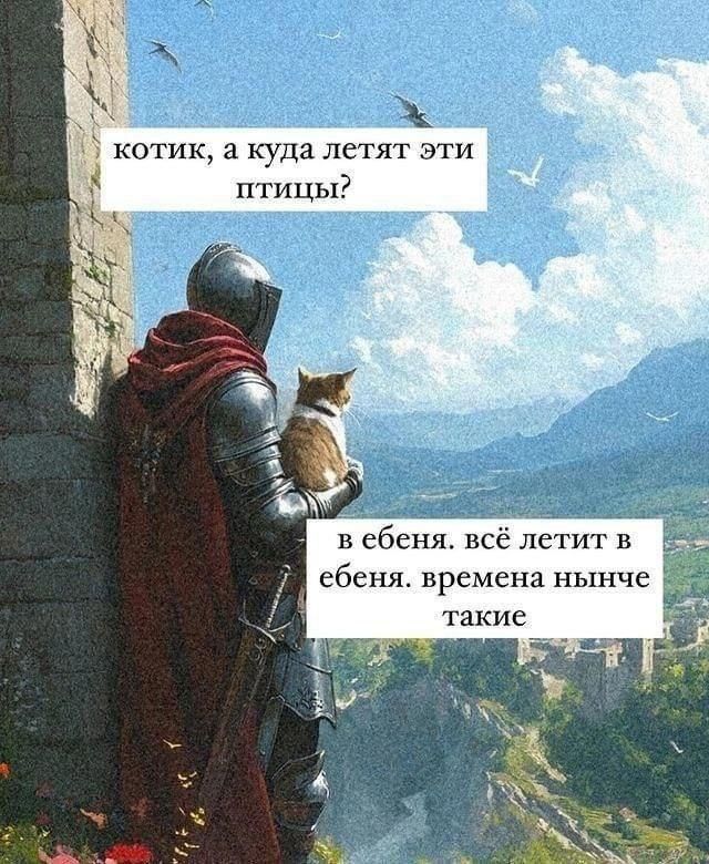 котик, а куда летят эти птицы? в ебеня. всё летит в ебеня. времена нынче такие