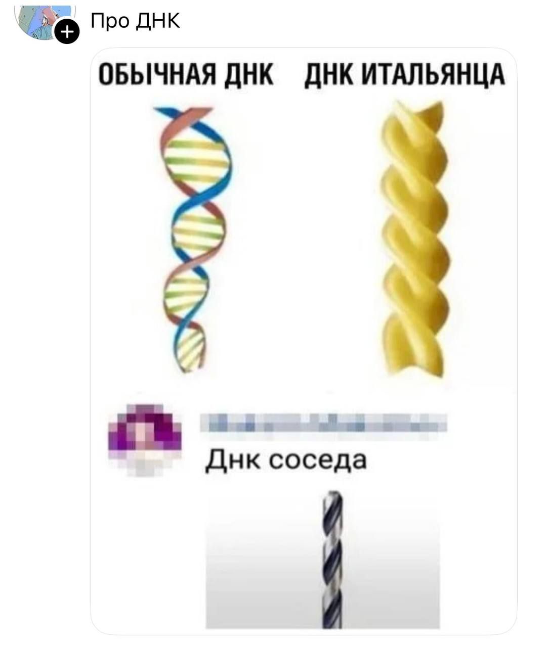 ОБЫЧНАЯ ДНК  ДНК ИТАЛЬЯНЦА  ДНК соседа