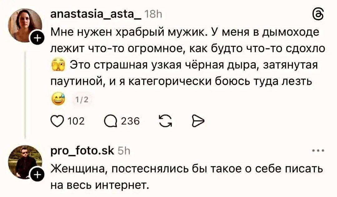 Мне нужен храбрый мужик. У меня в дымоходе лежит что-то огромное, как будто что-то сдохло 😷 Это страшная узкая чёрная дыра, затянутая паутиной, и я категорически боюсь туда лезть. Женщина, постеснились бы такое о себе писать на весь интернет.