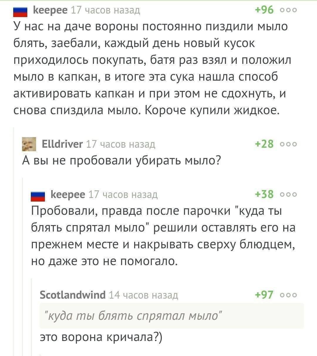 keepee 17 часов назад +96 У нас на даче вороны постоянно пиздили мыло блять, заебали, каждый день новый кусок приходилось покупать, батя раз взял и положил мыло в капкан, в итоге эта сука нашла способ активировать капкан и при этом не сдохнуть, и снова спиздила мыло. Короче купили жидкое. Elldriver 17 часов назад +28 А вы не пробовали убирать мыло?
