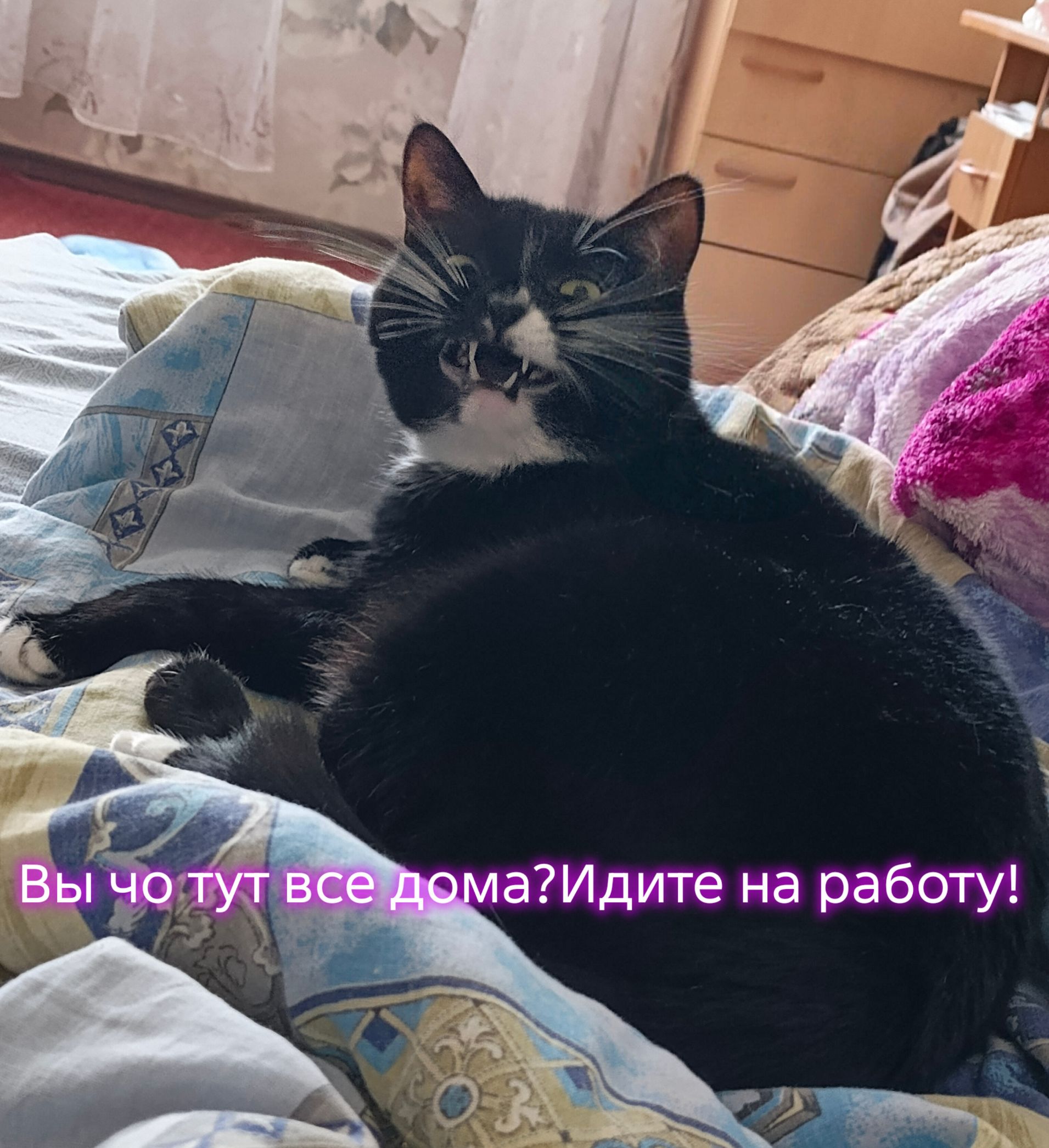 Вы чо тут все дома?Идите на работу!