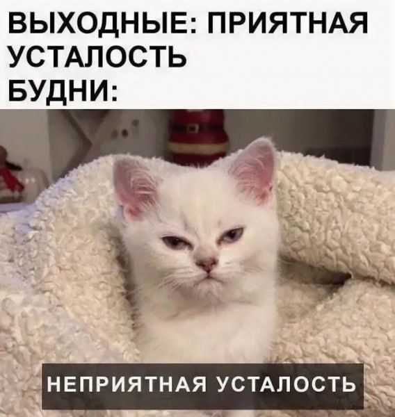 ВЫХОДНЫЕ: ПРИЯТНАЯ УСТАЛОСТЬ БУДНИ: НЕПРИЯТНАЯ УСТАЛОСТЬ