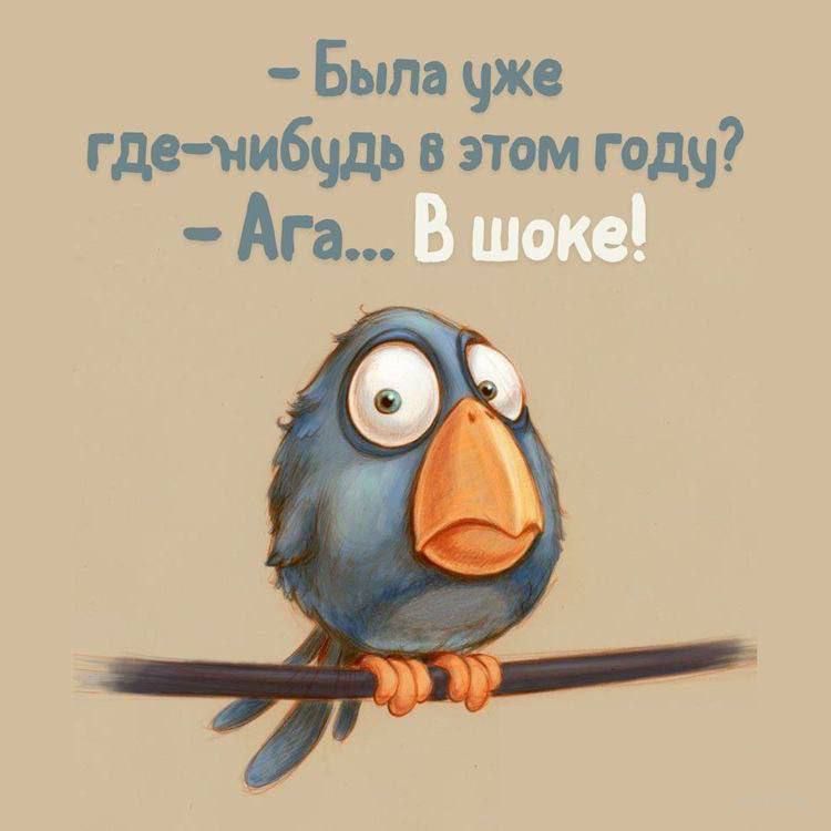 – Была уже где-нибудь в этом году? – Ага... В шоке!