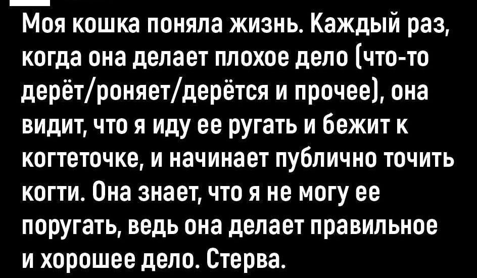 Моя кошка поняла жизнь. Каждый раз, когда она делает плохое дело (что-то дерёт/роняет/дерётся и прочее), она видит, что я иду её ругать и бежит к когтеточке, и начинает публично точить когти. Она знает, что я не могу её поругать, ведь она делает правильное и хорошее дело. Стерва.