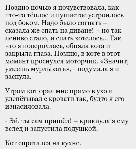 Поздно ночью я почувствовала как что то тёплое и пушистое устроилось под боком Надо было согнать сказала же спать на диване но так лениво стало и спать хотелось Так что я повернулась обняла кота и закрыла глаза Помню в коте в этот момент проснулся моторчик Значит умеешь мурлыкать подумала я и заснула Утром кот орал мне прямо в ухо И улепётывал с кровати так будто я его изнасиловала Эй ты сам пришё