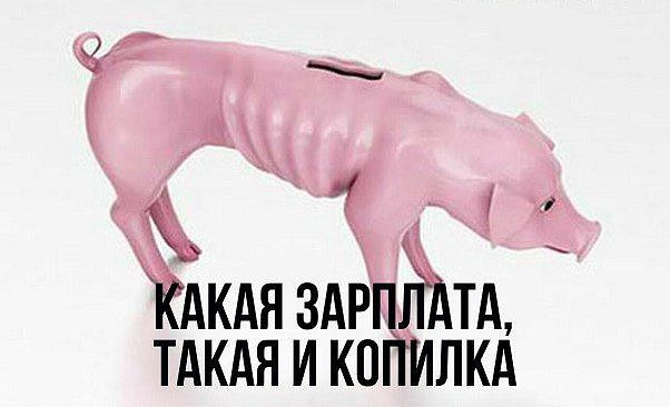 а Акдя ЗАРПЁЪ А тдкдя и копилкд