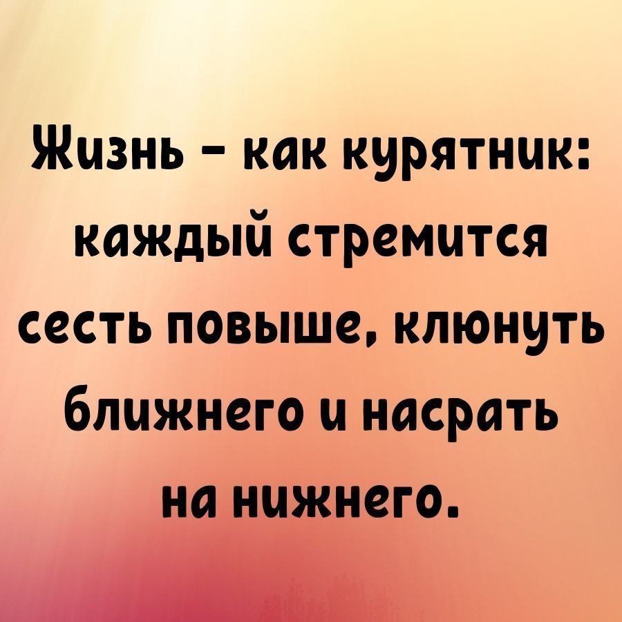 Жизнь как курятник каждый стремится сесть повыше клюнить ближнего и насрать него
