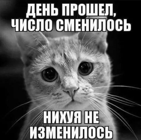 дЕНЬ ПРПШЕ Л Т