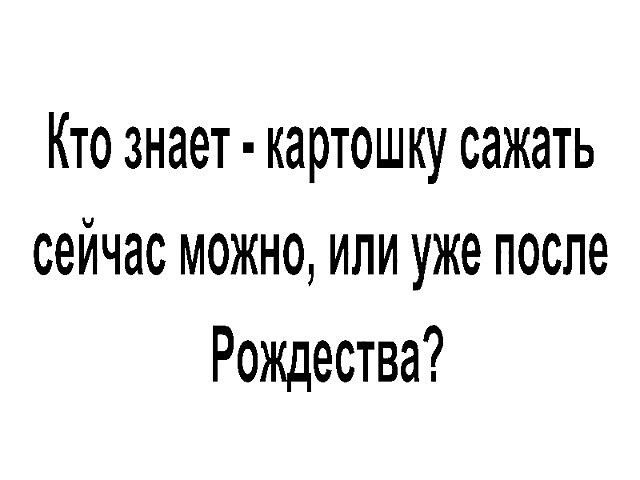 Кто знает картошку сажать сейчас можно или уже после Рождества
