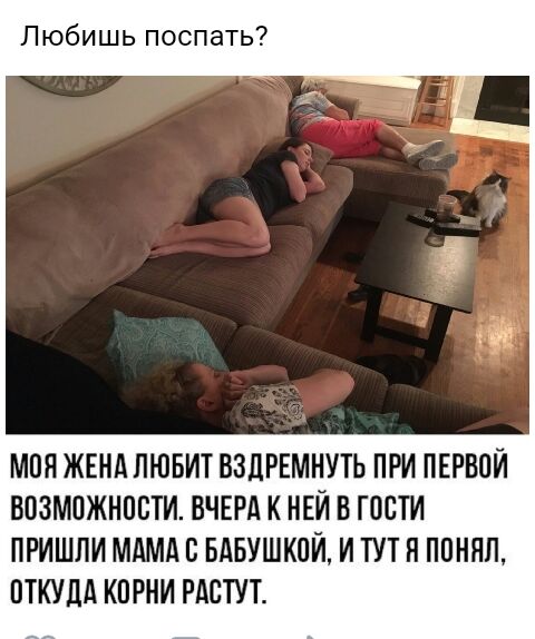 Любишь поспать МОЯ ЖЕНА ЛЮБИТ ВЗДРЕМНУТЬ ПРИ ПЕРВОЙ ВОЗМОЖНОСТИ ВЧЕРА К НЕЙ В ГВСТИ ПРИШЛИ МАМАС БАБУШКПИ И ТУТ Н ППНПП ПТКУДА КПРНИ РАСТУТ