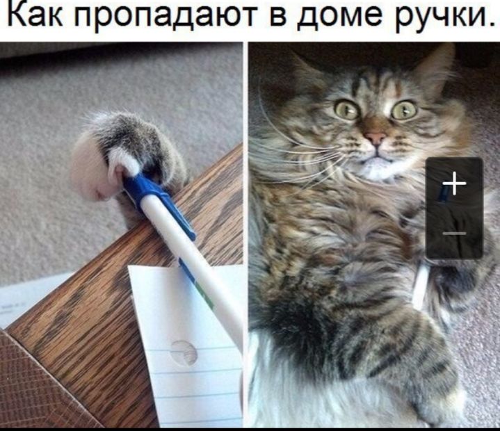 Как пропадают в доме ручки