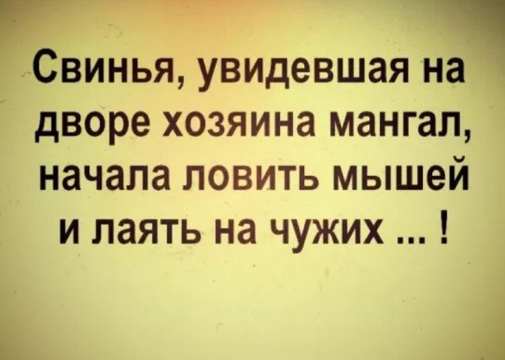 Свинья увидевшая на дворе хозяина мангал начала ловить мышей и лаять на чужих
