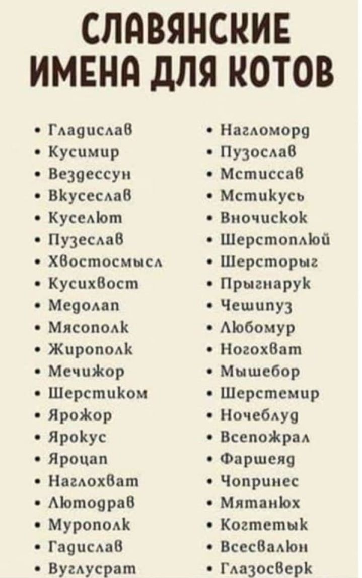 СЛПВЯНСКИЕ ИМЕНд дЛЯ КОТОВ Гмщпсдав Нагдоморя Кусцмир Пузосдвв Везоессуи Мстцссав ВКусссАаВ МстцКусь Куссліот ВиочцсКоК Пузеслав ШерстопЦой ХВостосмым Шерсторыг КусцхВост Прыгиарук Меоомп Чешипуз Мясоподк Мобомур ЖиронаК НогохВат Мечшіюр Мышсбор Шерстиіюм Шерстсмир ЯроЖор Ночебдус ЯроКус ВсепоЖраА Яроцап Фаршсяя НагдохВат Чоприпес МотояраВ Мятаніох Муроподк Когтетык Гаеисдаб ВсесВаіои Вумусрат Гда