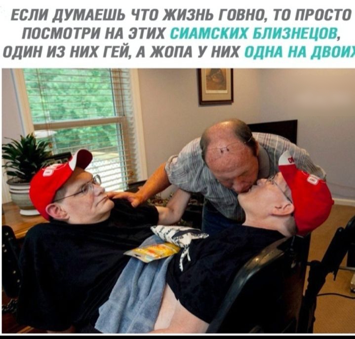СИАМСКИХ ЬПИЗНЬЦОВ ОДНА НА ДВО