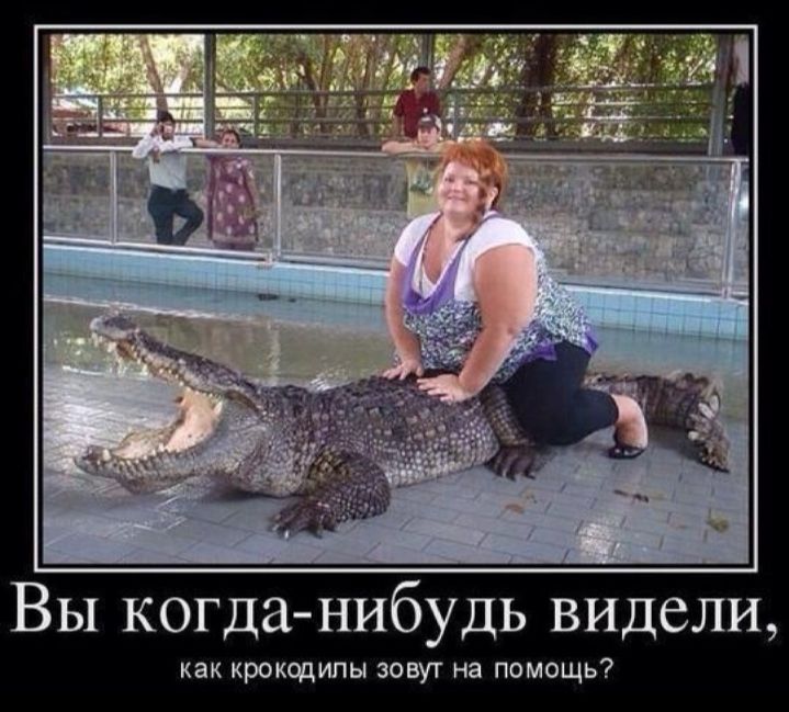 Вы когда нибудь видели как крокодипы зовут на помощь