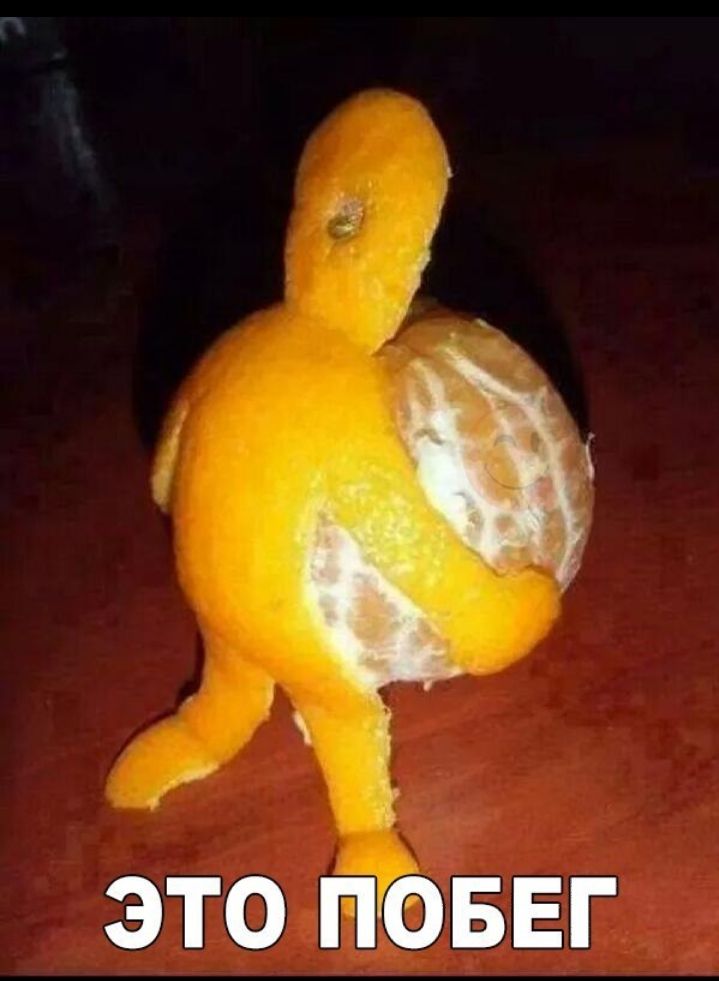 ЭТО ПОБЕГ