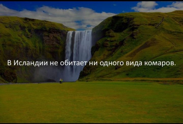 НИ ОДНОГО вида комаров