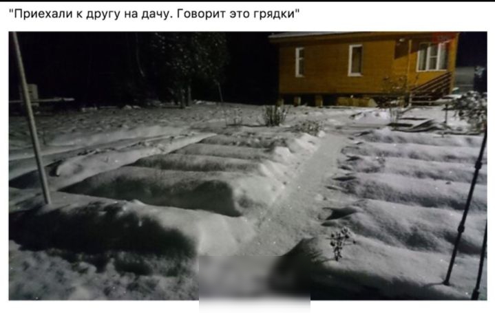 Приехали другу на дачу говорит это грядки