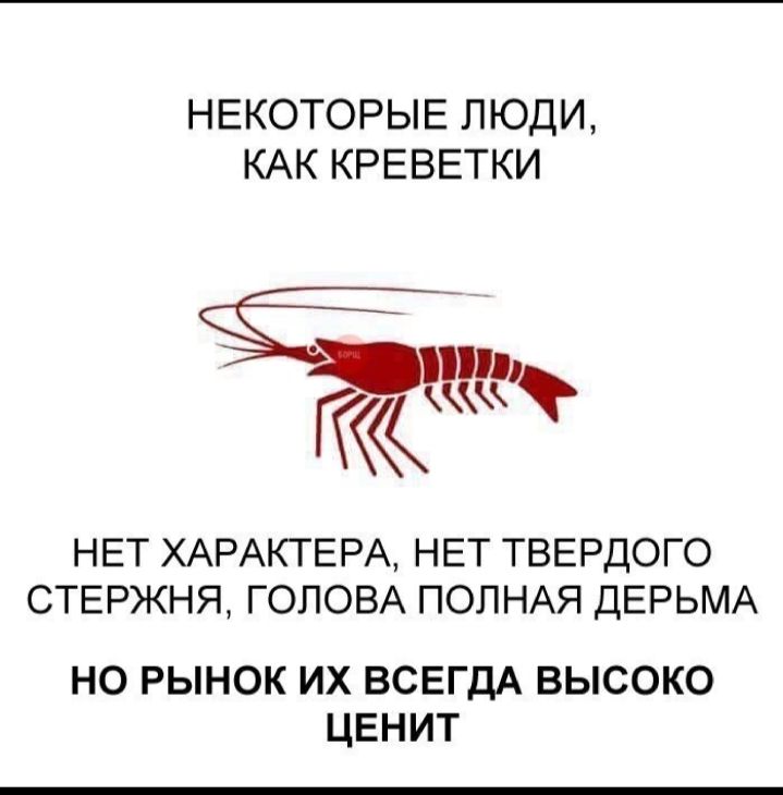 НЕКОТОРЫЕ ЛЮДИ КАК КРЕВЕТКИ НЕТ ХАРАКТЕРА НЕТ ТВЕРДОГО СТЕРЖНЯ ГОЛОВА ПОЛНАЯ ДЕРЬМА НО РЫНОК ИХ ВСЕГДА ВЫСОКО ЦЕНИТ