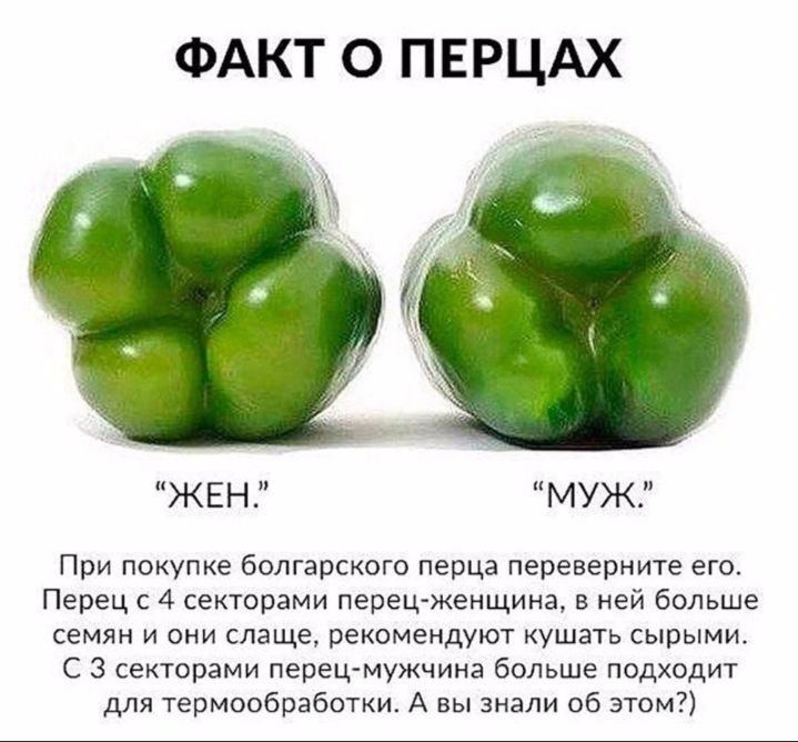 ФАКТ О ПЕРЦАХ ЖЕН МУЖ При покупке болгарского перца переверните его Перец с 4 секторами перец женщина в ней больше семян и они слаще рекомендуют кушать сырыми С 3 секторами перец мужчина больше подходит для термообработки А вы знали об этом