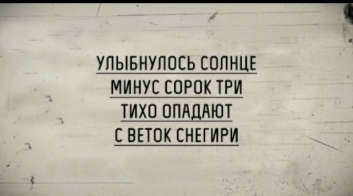 Сделай минус 40. Черный юмор надписи. Тихо опадают с веток Снегири. Шутки про минус 40. Улыбнулось солнце минус сорок три тихо опадают с веток Снегири.