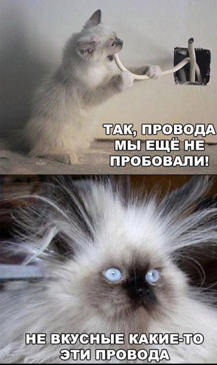 шт О а гэты