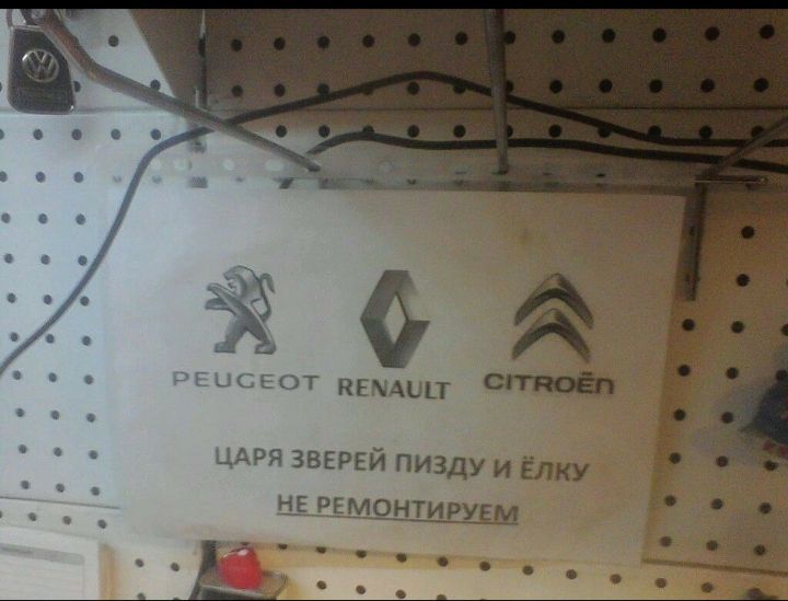 _ШСЕОТ квщип списан ЦАРЯ зверей пизду и Ёлку Н_в рвмшшхш