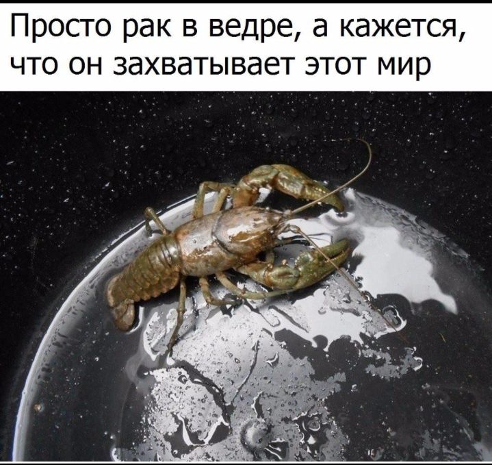 Просто рак в ведре а кажется что он захватывает этот мир
