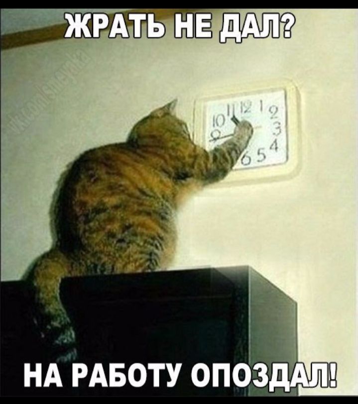 НА РАБОТУ опбздАт