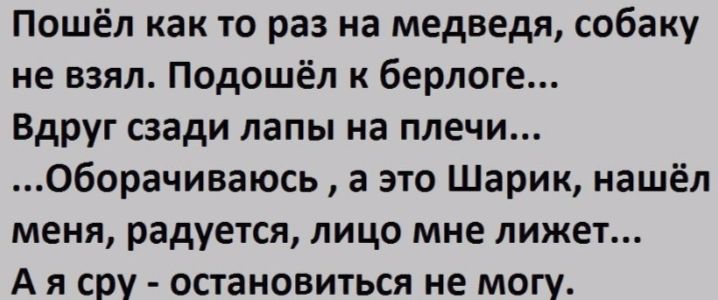 Пошёл как то раз на медведя собаку не взял Подошёл к берлоге Вдруг сзади лапы на плечи Оборачиваюсь а это Шарик нашёл меня радуется лицо мне лижет А я сру остановиться не могу