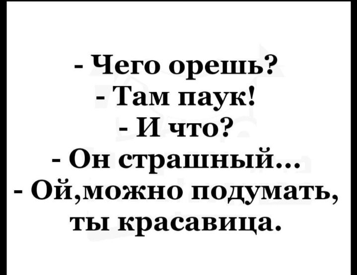 Чего орешь Там паук И что Он страшный ОйМожно подумать ты красавица