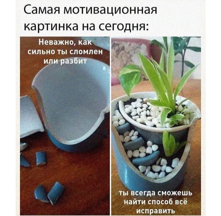 Самая мотивационная КЭ РТИНКЗ на сегодня Неважно как сильно ты сломлен или разбит ты всегда сможешь найти способ всё исправить