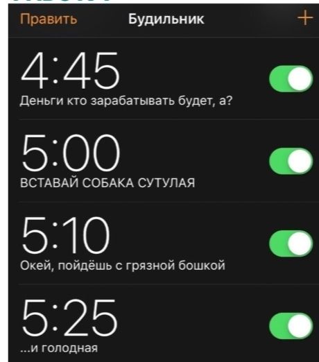 Править Будильник 445 деньги по зарабатывать будет а 5300 БСТАВАЙ СОБАКА СУТУЛАЯ 5310 Окей пойдёшь грязной башкой 5325 и голодная