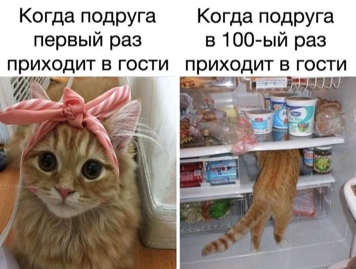Когда подруга Когда подруга первый раз в 100 ый раз приходит в гости приходит в гости