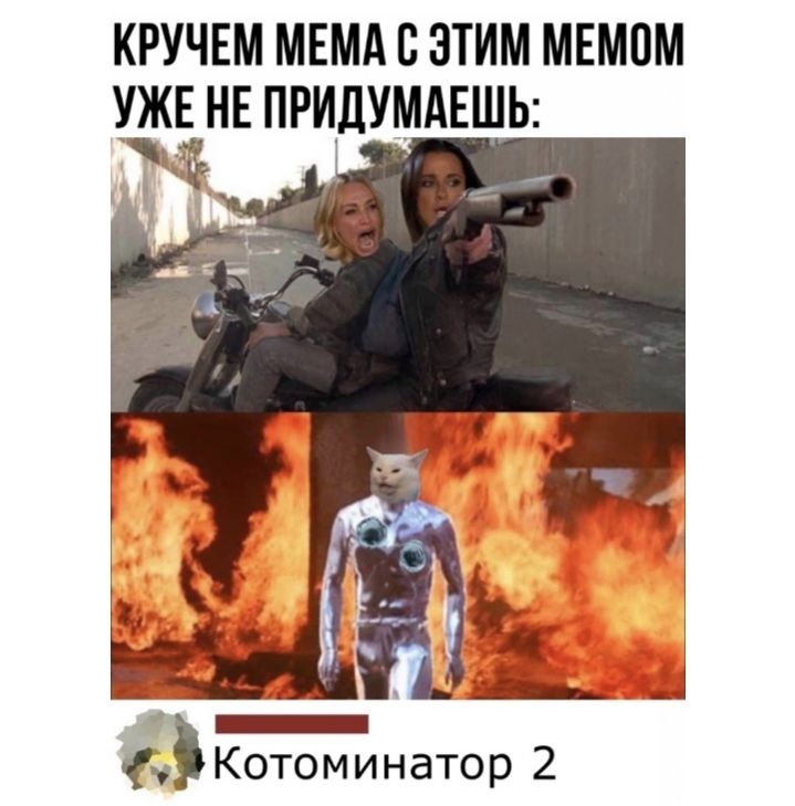 КРУЧЕМ МЕМА С ЭТИМ МЕМ0М УЖЕ НЕ ПРИЛУМАЕШЬ _ Котоминатор 2