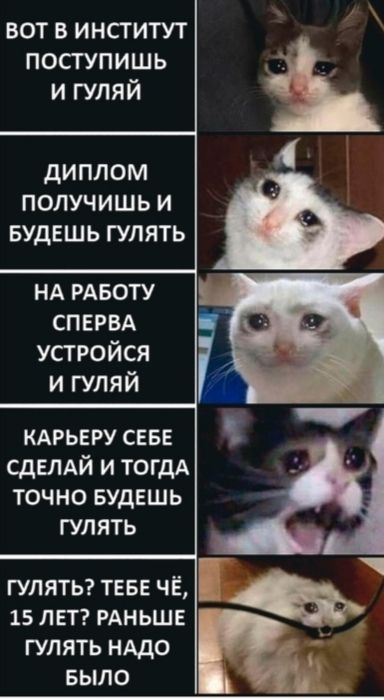 ВОТ В ИНСТИТУТ ПОСГУПИШЬ И ГУЛЯЙ диплом получишь и БУДЕШЬ гулять нд РАБОТУ СПЕРВА усгройся и гуляй кдрьвру сев СДЕЛАЙ и ТОГДА точно БУДЕШЬ гулять ГУЛЯТЬ ТЕБЕ ЧЁ 15 ЛЕТ РАНЬШЕ ГУЛЯТЬ НАДО БЫЛО