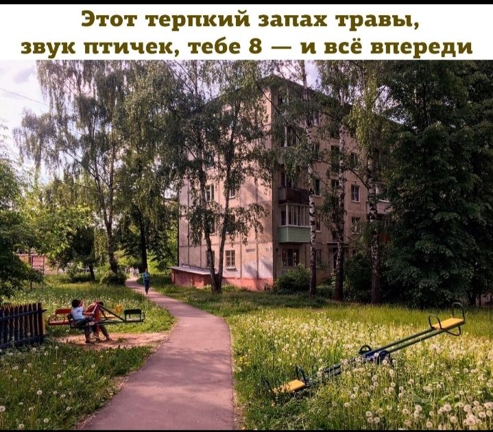 Этот терпкий запах травы звук птичек тебе 8 и всё впереди