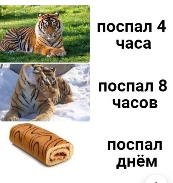 поспал 4 часа поспал 8 часов поспал днём