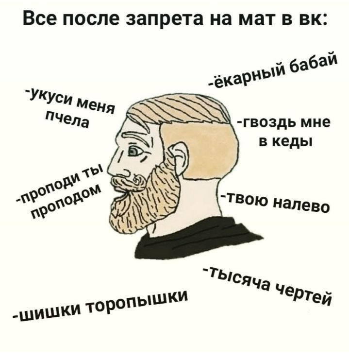 Все после запрета на мат в вк