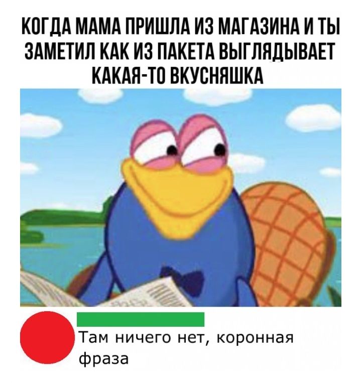 КОГДА МАМА ПРИШЛА ИЗ МАГАЗИНА И ТЫ ЗАМЕТИЛ КАК ИЗ ПАКЕТА ВЫГЛЯДЫВАЕТ КАКАЯ ТП ВКУСНЯШКА Там ничего нет коронная фраза