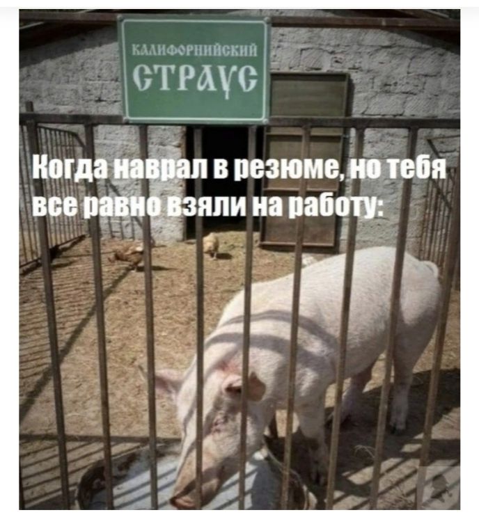 мсншпскпн дітраус пидар п в резюме йети ввс вий или на паст