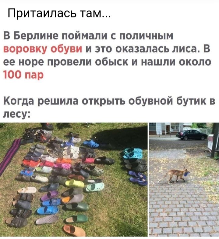 Притаилась там В Берлине поймали с поличным чету ГП и это оказалась лиса В ее норе провели обыск и нашли около Когда решила открыть обувной бутик в лесу