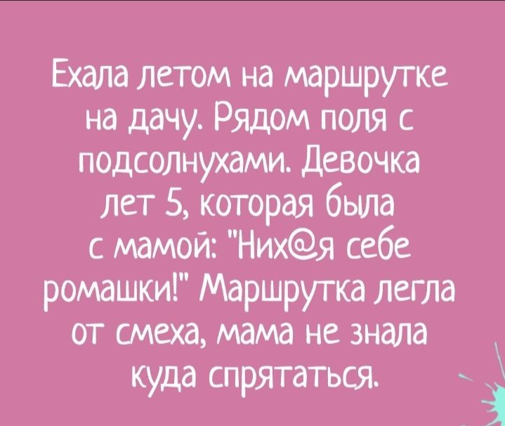 Ехала летом на маршрутке на дачу Рядом поля с подсолнухами Девочка лет 5 которая была с мамой Нихя себе ромашки Маршрутка легла от смеха мама не знала куда спрятаться і