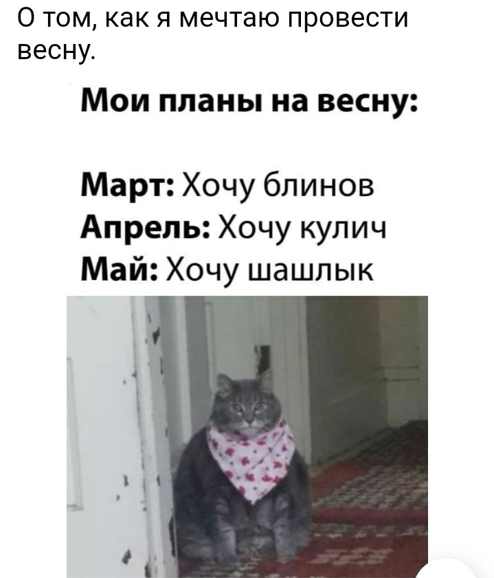 О том как я мечтаю провести весну Мои планы на весну Март Хочу блинов Апрель Хочу кулич Май Хочу шашлык