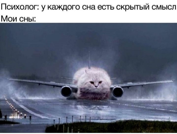 Психолог у каждого она есть скрытый смысл Мои сны _