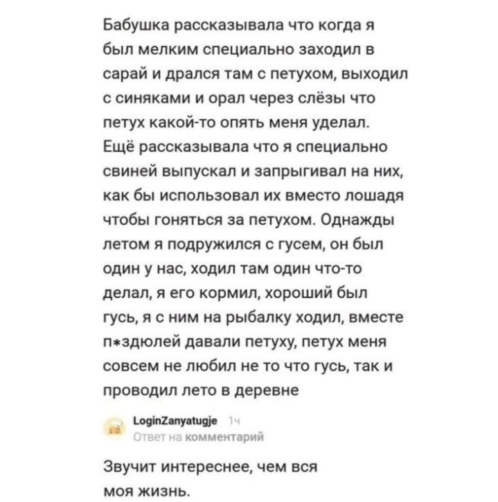 Бабушка рассказывала что когда я был мелким специально заходил в сарай и дрался там с петухом выходил с синяками и орал через слёзы что петух какой то опять меня уделал Ещё рассказывала что я специально свиней ВЫПУСКВП И ЗЭПрЫГИВаЛ на НИХ как бы использовал их вместо лошадя чтобы гоняться за петухом Однажды летом я подружился с гусем он был один у нас ходил там один что то делал я его кормил хорош
