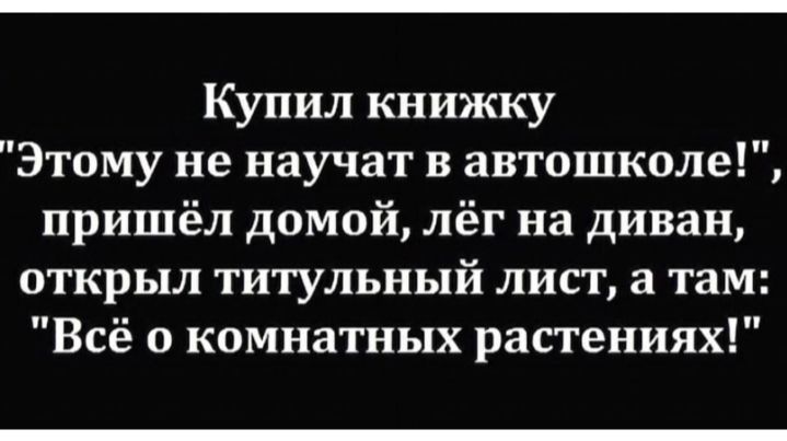 Купил книжку Этому не научат в автошколе пришёл домой лёг на диван открыл титульный лист а там Всё о комнатных растениях