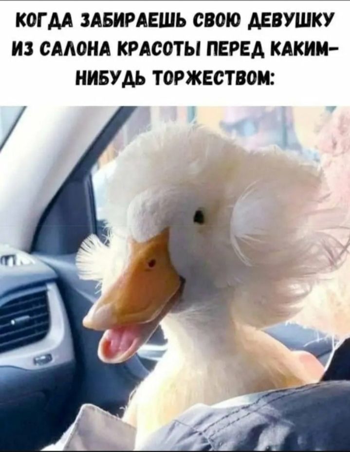 КОГ АА ЗАБИРАЕШЬ СВОЮ АЕВУШКУ ИЗ СААОНА КРАСОТЫ ПЕРЕД КАКИМ НИБУАЬ ТОРЖЕСТВОМ